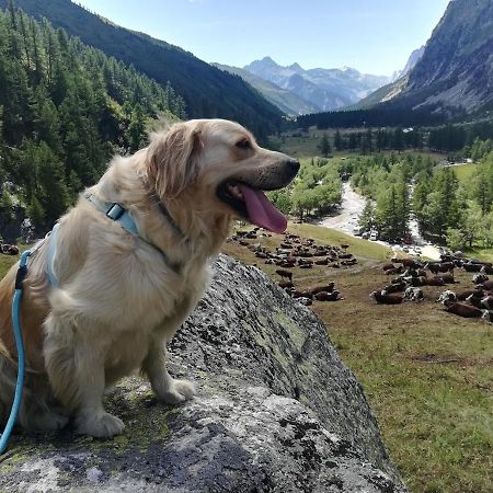 Casa Lucy Apartment Aosta Bagian luar foto